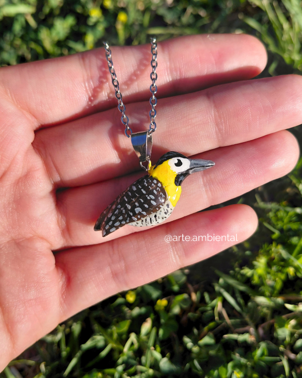 Producto - Collar de Carpintero Campestre