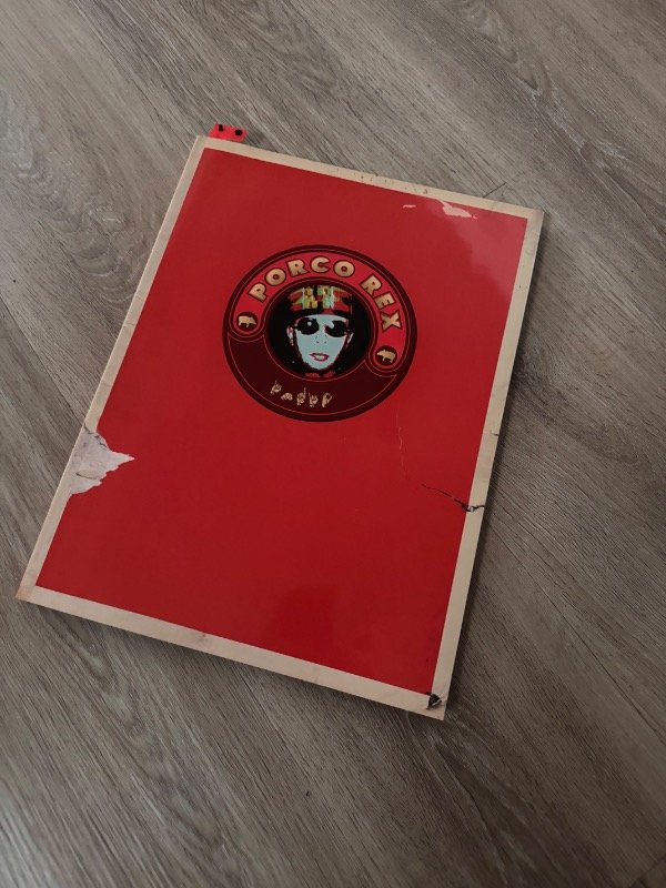 Producto - LIBRO INDIO GIRA PORCO REX
