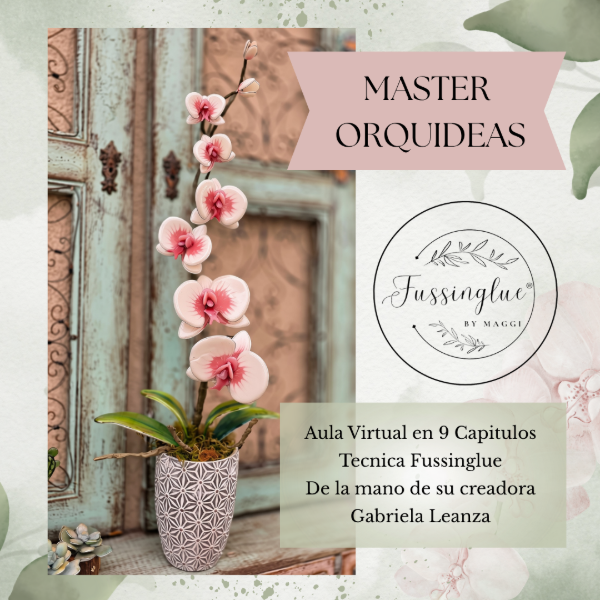 Producto - COMBO MASTER ORQUIDEAS CON KIT DE MATERIALES - 2