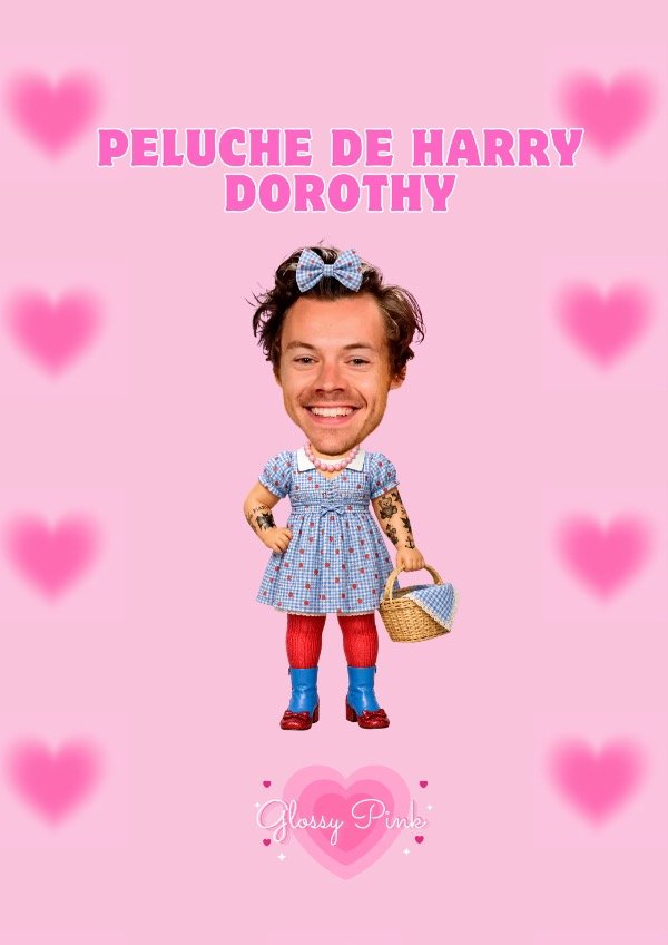 Producto - Peluche Mini Harry Dorothy sublimado de 30CM