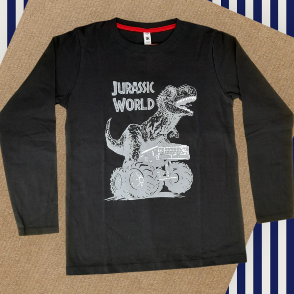 Producto - Remeras manga larga nene TALLE 16