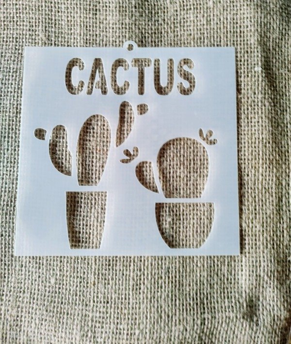 Producto - Cactus