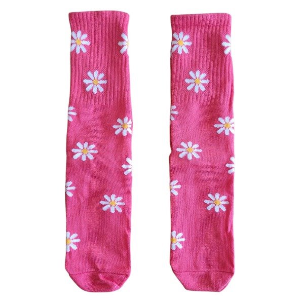 Producto - Margarita Rosa oscuro