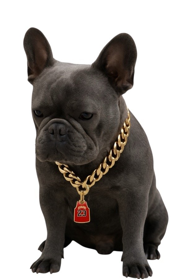 Producto - Cadena Dorada Jordan