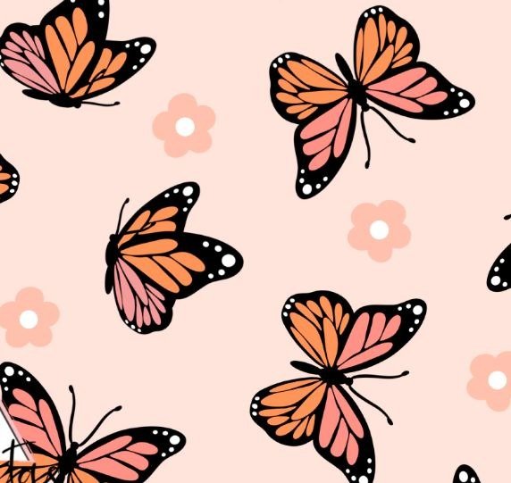 Producto - Mariposas fondo salmón