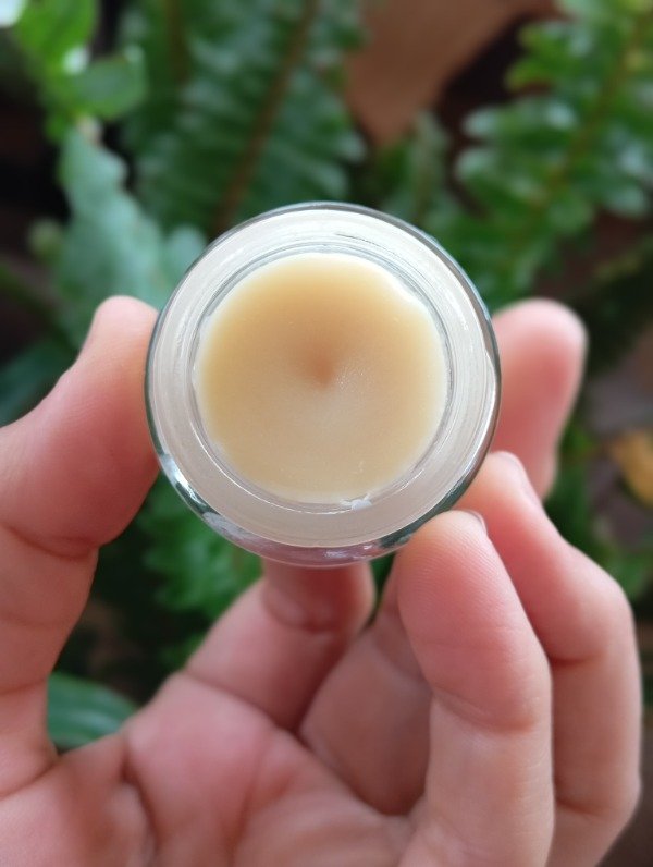 Producto - Bálsamo labial Manzanilla y Cacao