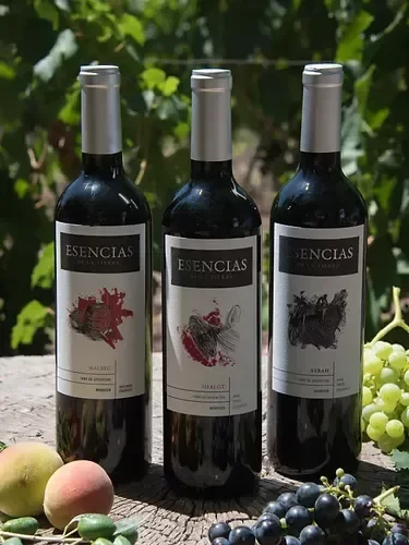 Producto - Vino Malbec Orgánico esencias Flia. Cecchin