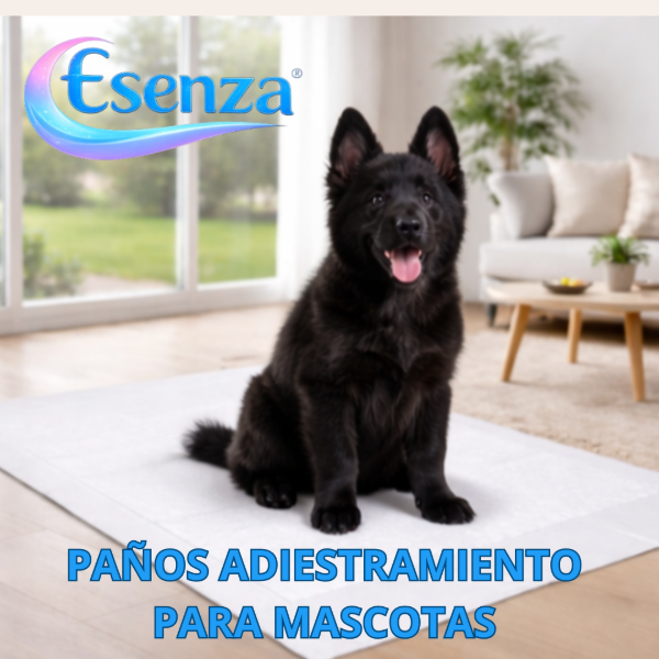 Producto - PAÑOS ABSORBENTES ENTRENAMIENTO X   5 DE 60 X 90