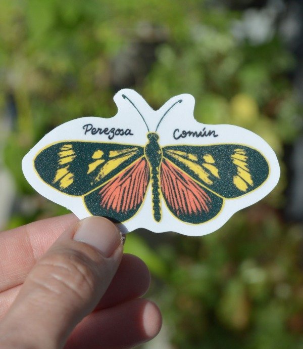 Producto - Sticker transparente UV - Perezosa común - 0