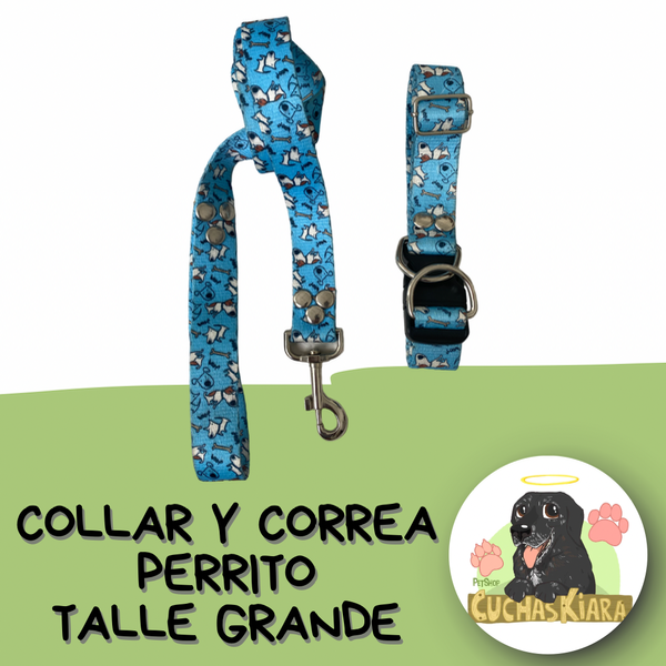 Producto - Collar y Correa Talle Grande