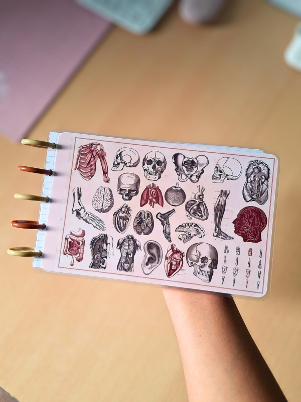 Producto - FICHERO INTELIGENTE C107