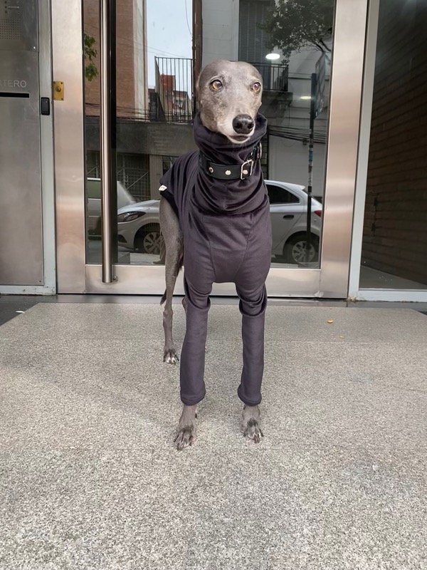 Producto - Polera de plush negro