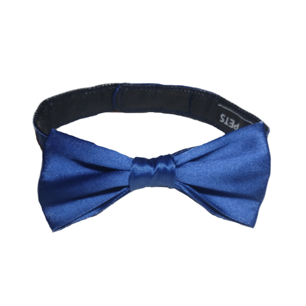 Producto - Moño Frederick Azul