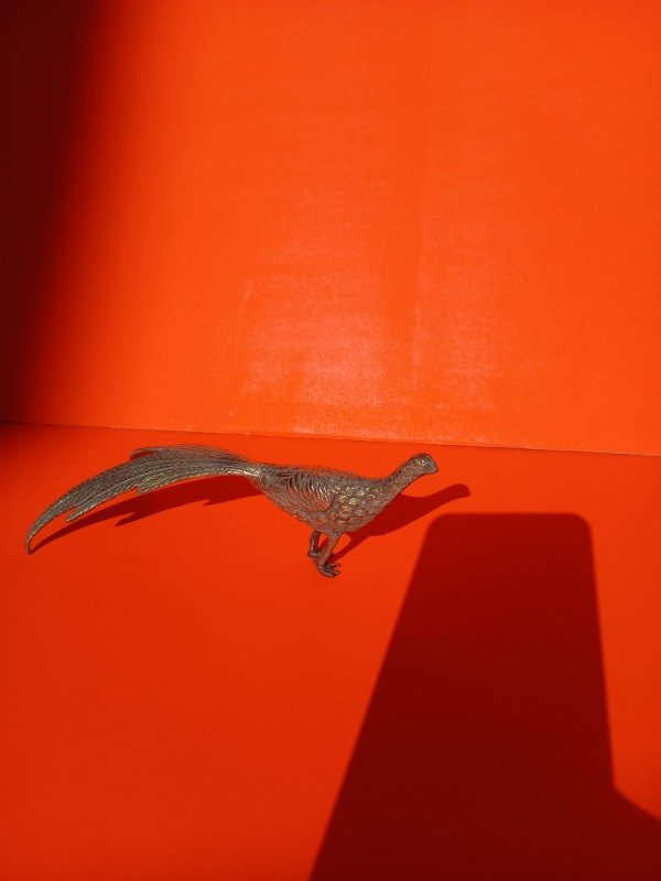 Producto - Faisán bronce