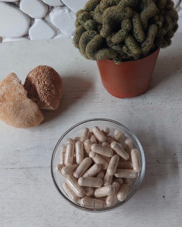 Producto - Blend de 30 cápsulas de 0,4 mg de MELENA DE LEÓN -FOCO-