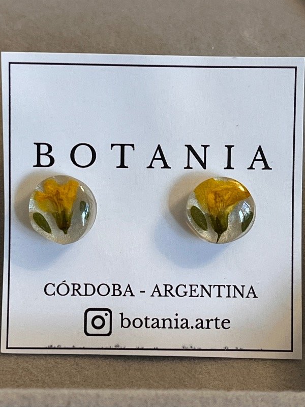 Producto - 13 aros chañar - 0