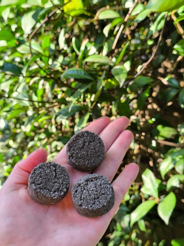 Producto - Carbones Neutro