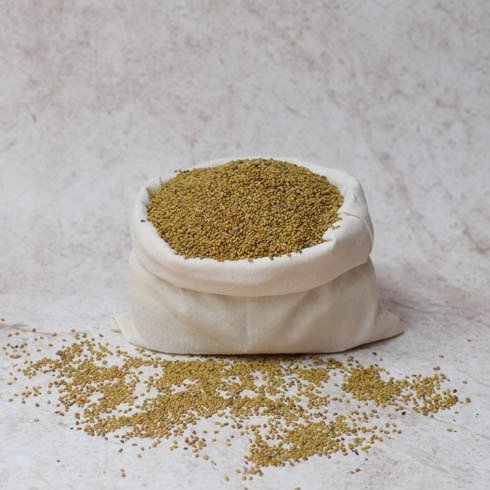 Producto - Alfalfa para brotes - 100 Gr - Naturaleza Viva