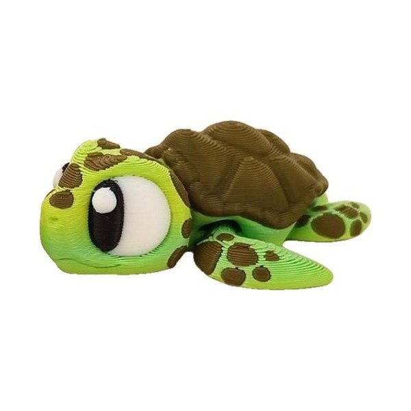 Producto - Tortuga Marina