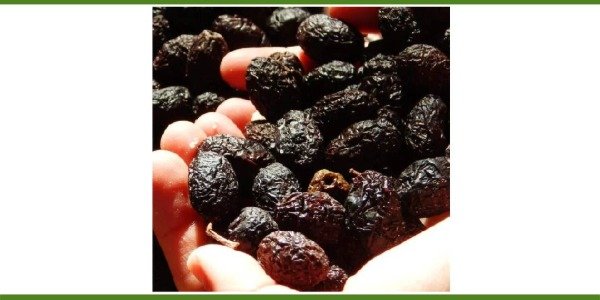 Producto - ACEITUNAS GRIEGAS BIODINÁMICAS X 500 gr