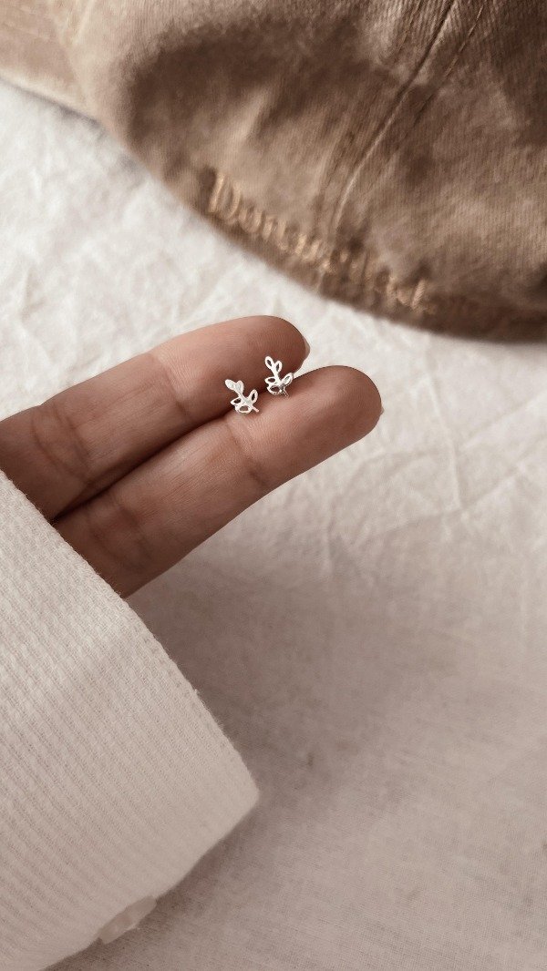 Producto - Aros CyR hojitas plata