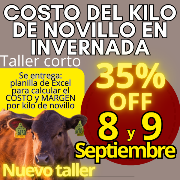 Producto - Taller corto: cálculo del costo del kilo de novillo - 0