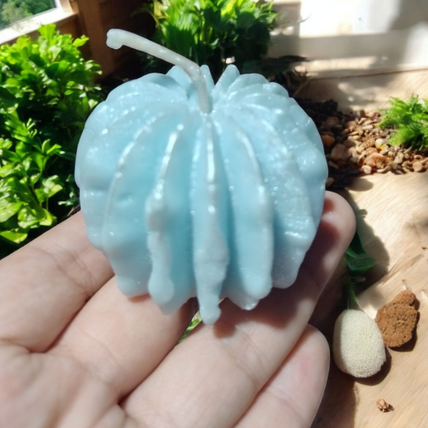 Producto - Velitas Cactu