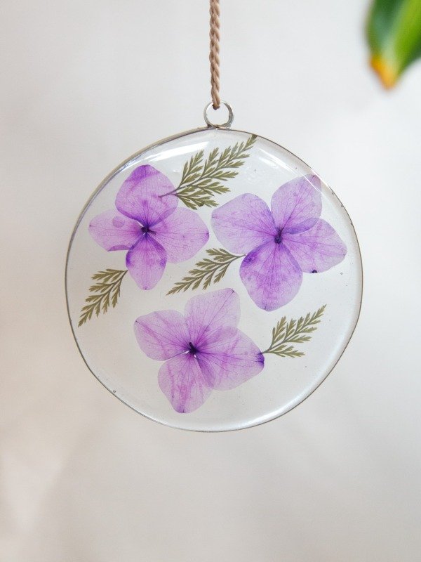 Producto - Hortensias - 0