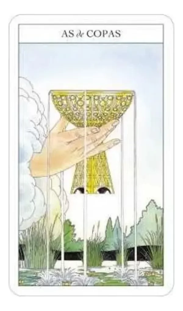 Miniatura de producto - 3