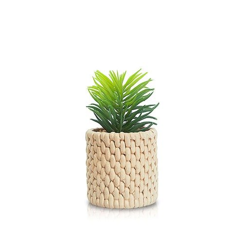 Producto - Plantin FIBERT
