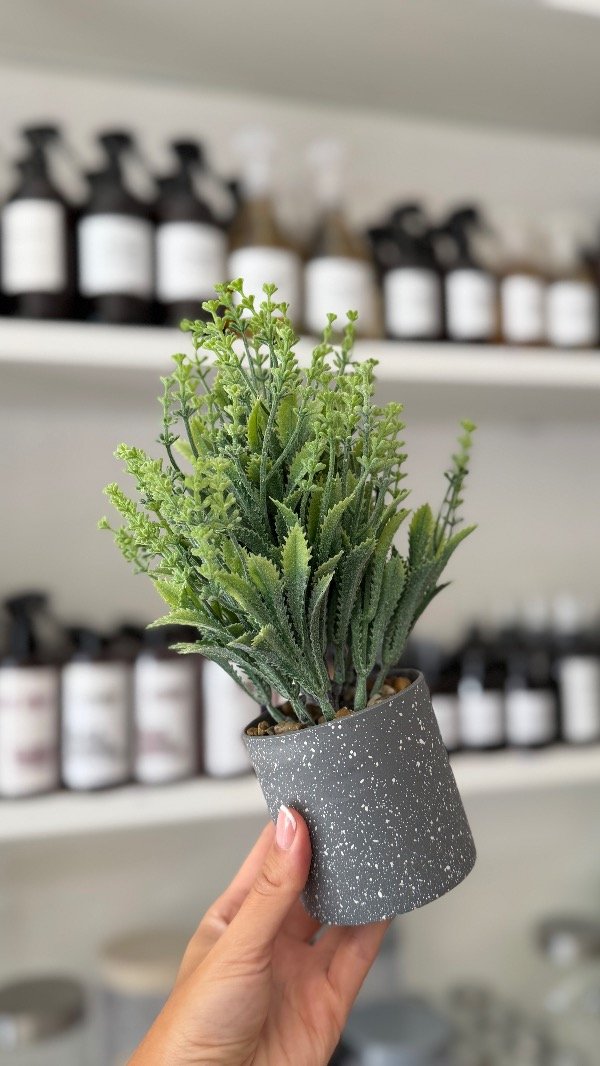 Producto - Plantin Art Deco