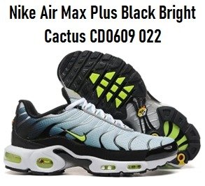 Producto - Nike Air Max Plus Black Bright Cactus CD0609 022