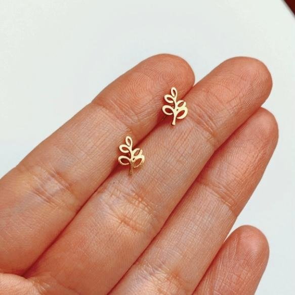 Producto - AROS OLIVO GOLD