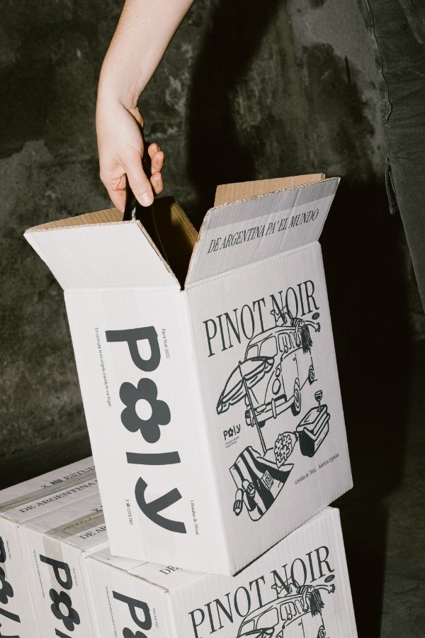 Producto - Gran Pinot Noir 2022 x6