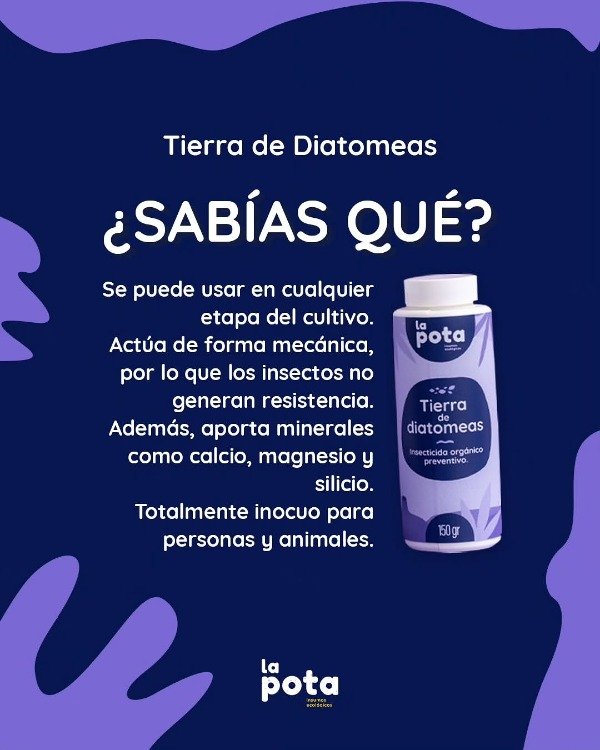 Producto - Talquera de Tierra de Diatomeas La Pota x 150 gramos - 1