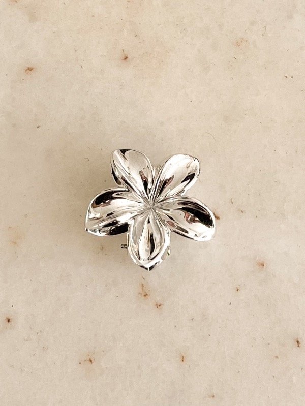 Producto - Mini Broche Flor Plateado