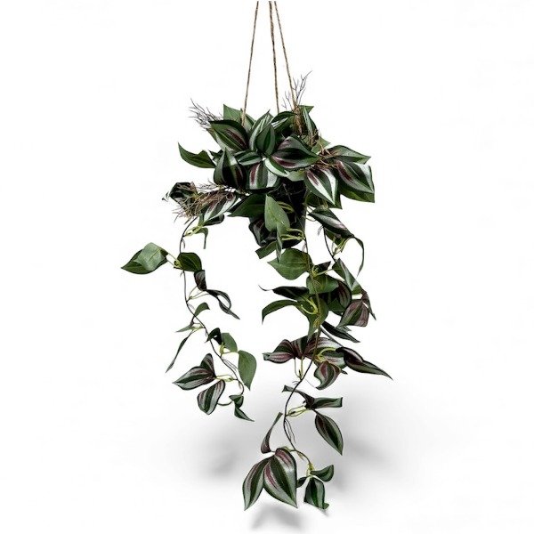 Producto - PLANT BEGONIA COLGANTE MACET EA410105