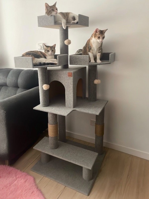 Producto - Rascador Tokio - PROMO STOCK