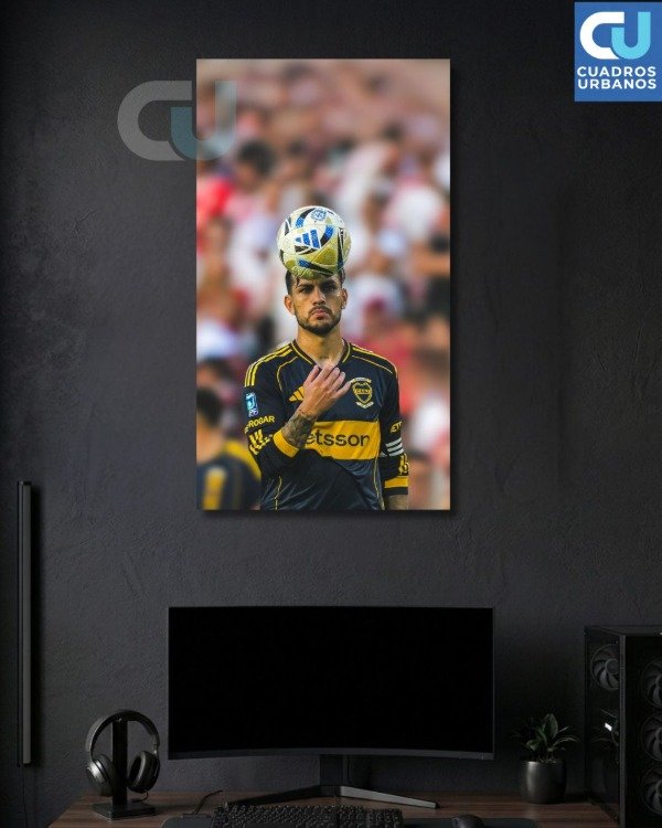 Producto - Paredes 20