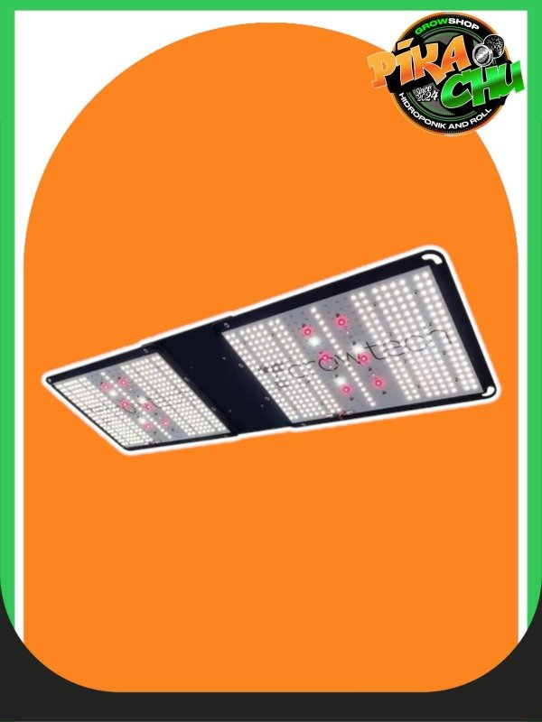 Producto - LINEA QUANTUM - QUANTUM BOARD Q300