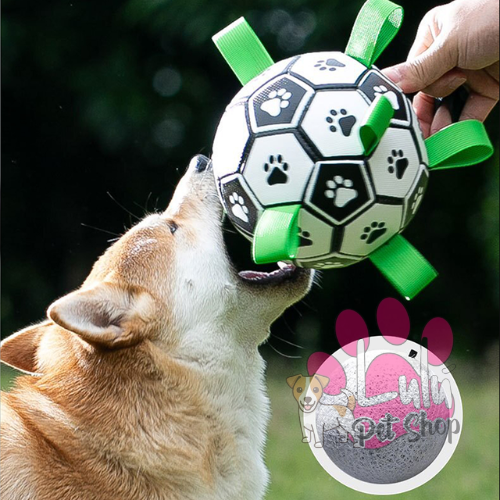 Producto - PELOTA FUTBOL CON TIRAS