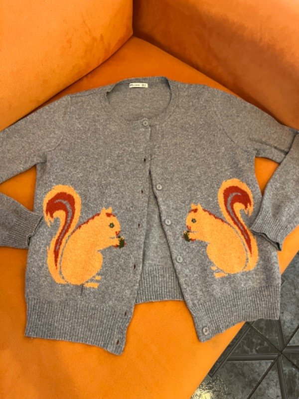 Producto - Cardigan ardilla