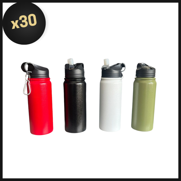 Producto - PROMO BULTO BOTELLA TERMICA SPORT 600ML SIN LOGO