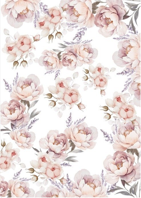 Producto - CATCUTE 3B