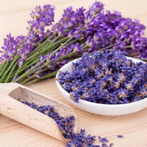 Producto - Esencia Lavanda 100ml CYBERMONDAY