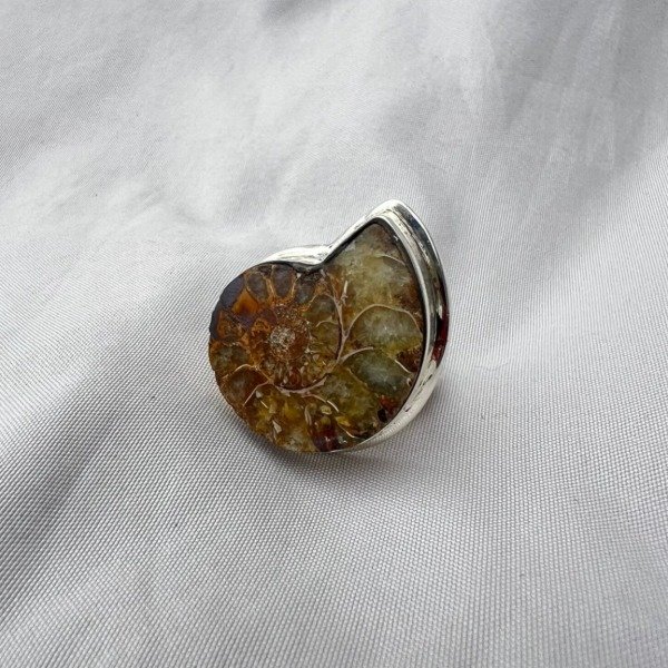 Producto - ANILLO AMONITE FOSIL