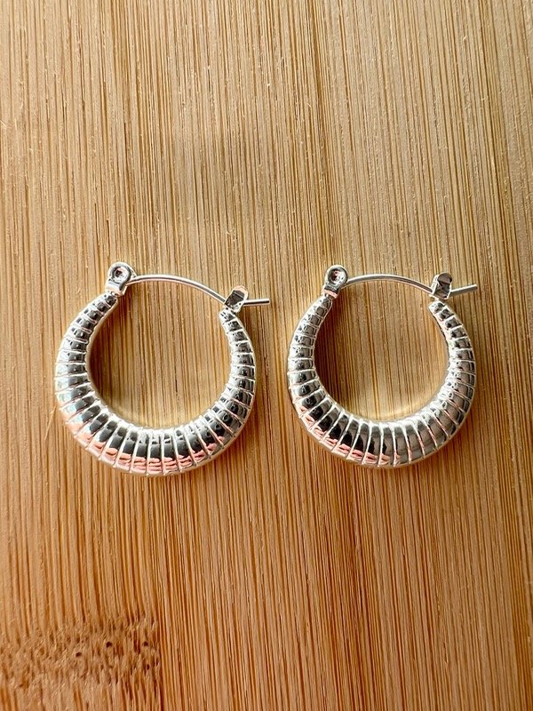 Producto - Aros de acero blanco argolla