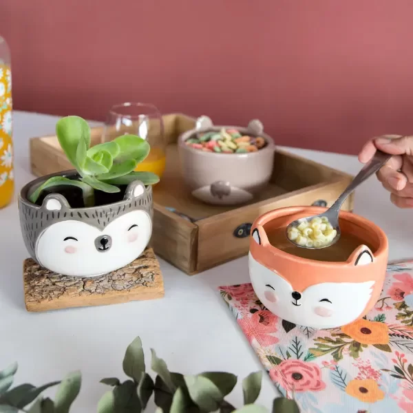 Producto - Bowl animalito