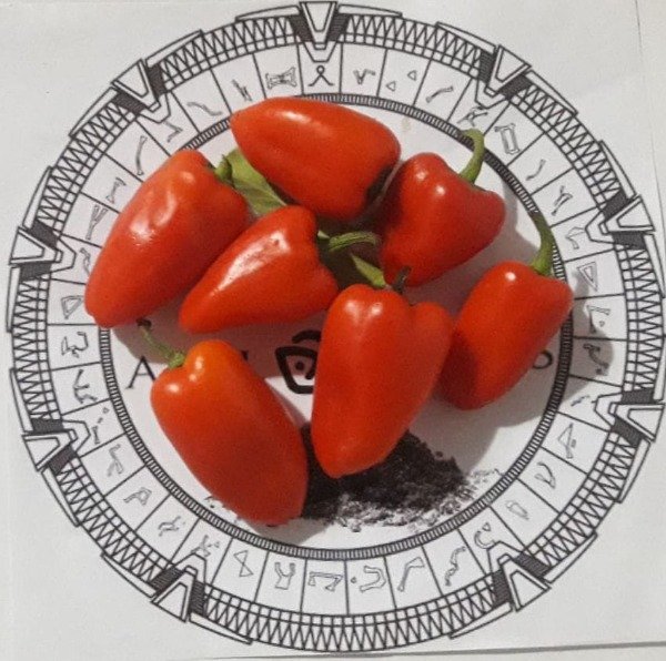 Miniatura de producto - 0