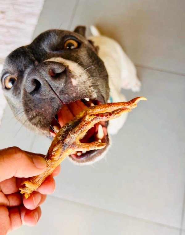 Producto - GARRAS DE POLLO - 2